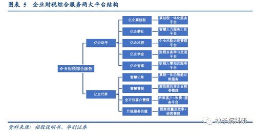 新股丨稅友股份 專注財稅信息化，信息系統集成服務助穩健成長